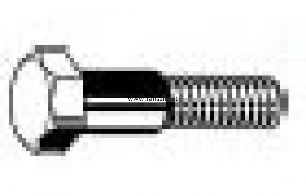 DIN609 Hexagon fitted bolts,long thread 外六角塞打螺釘